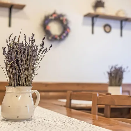 Tatil Evi Marsovka By Interhome Horní Maršov